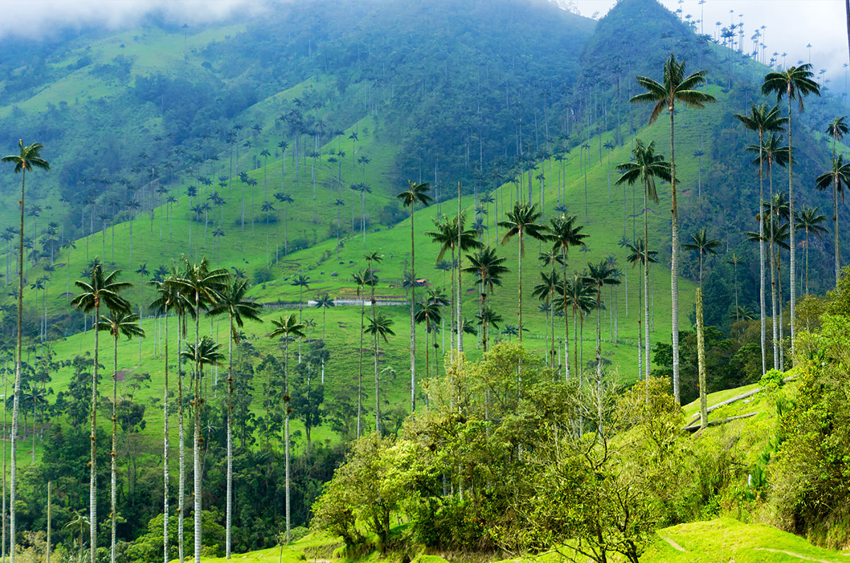Paisajes de Colombia: de los Andes al Caribe