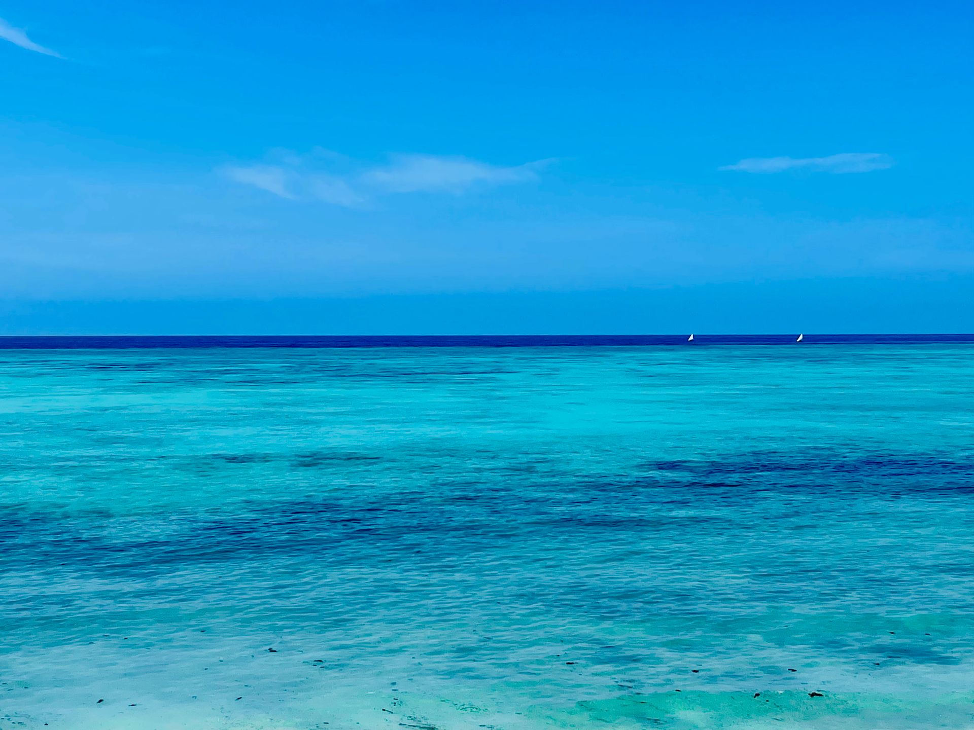 Kenia, Tanzania y playas de Zanzibar
