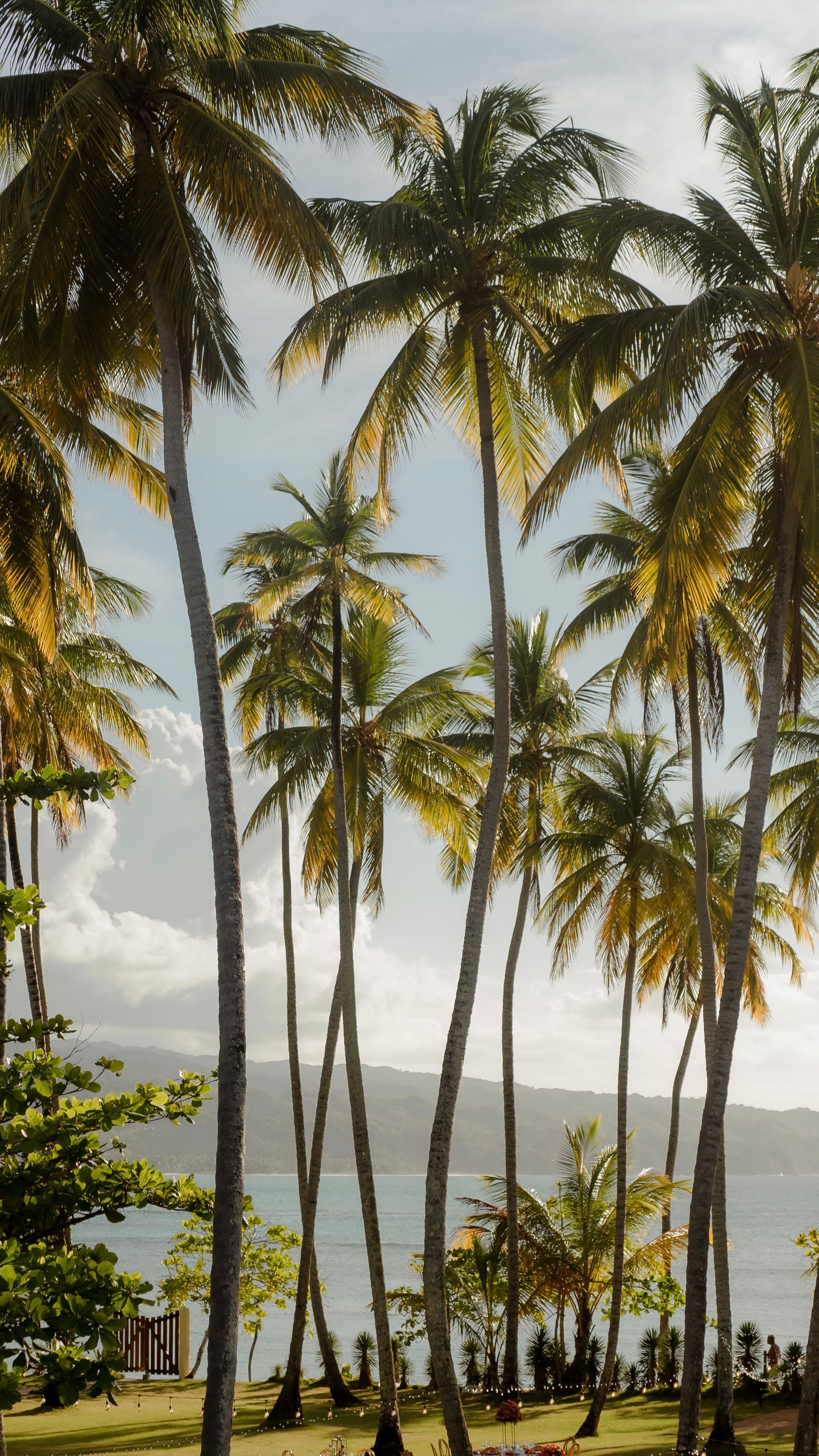 Punta Cana + crucero por islas del Caribe