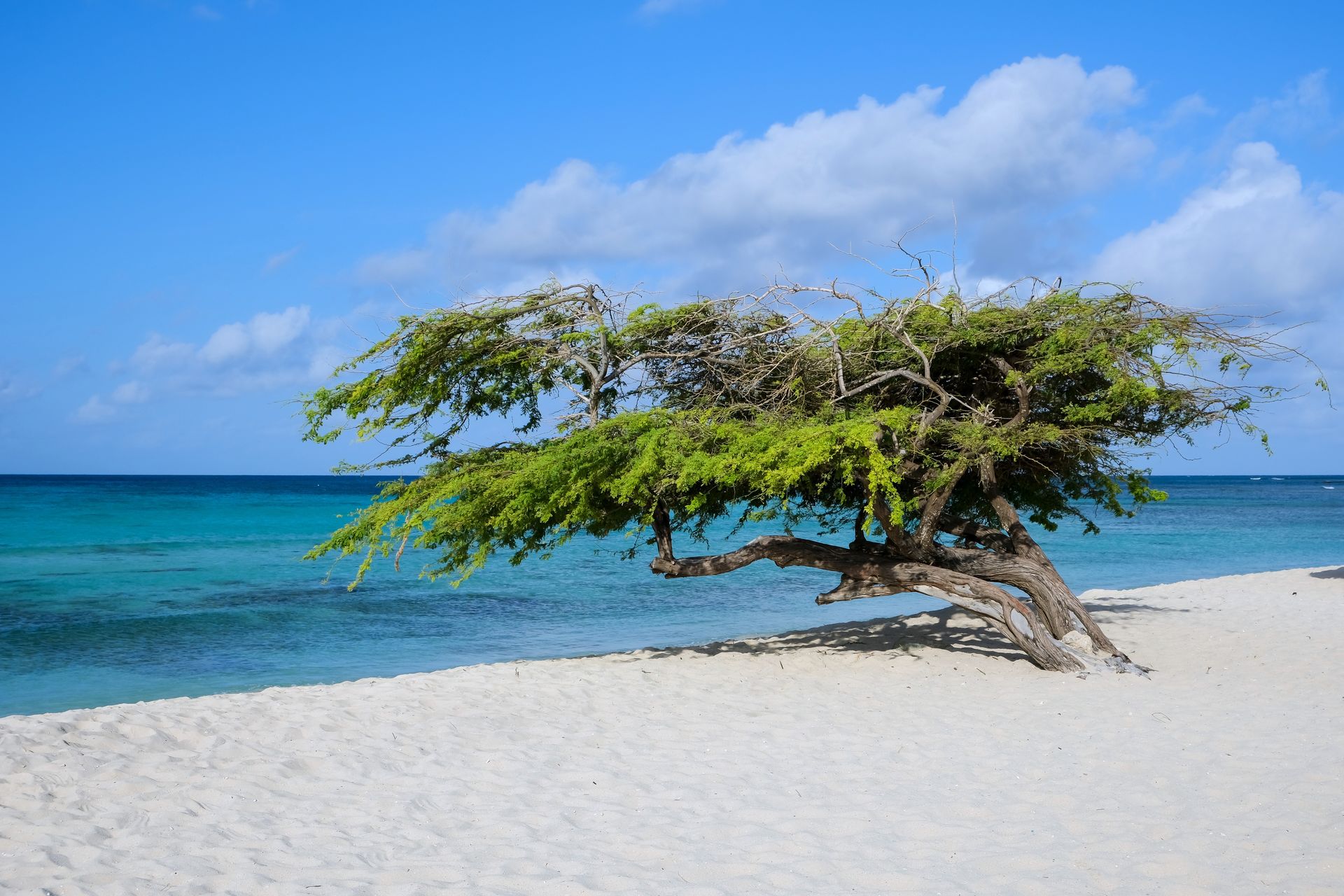 Aruba y  Curaçao