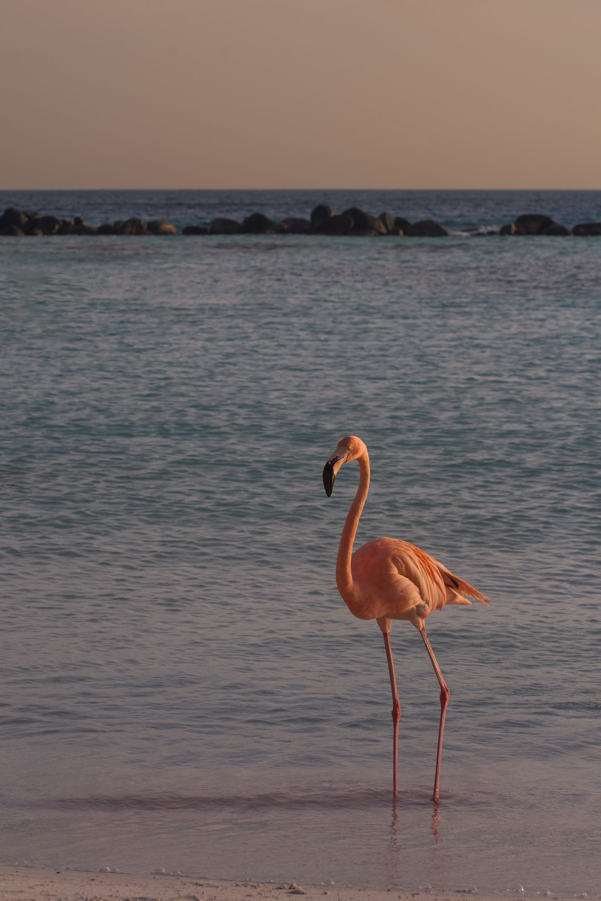 Aruba y  Curaçao