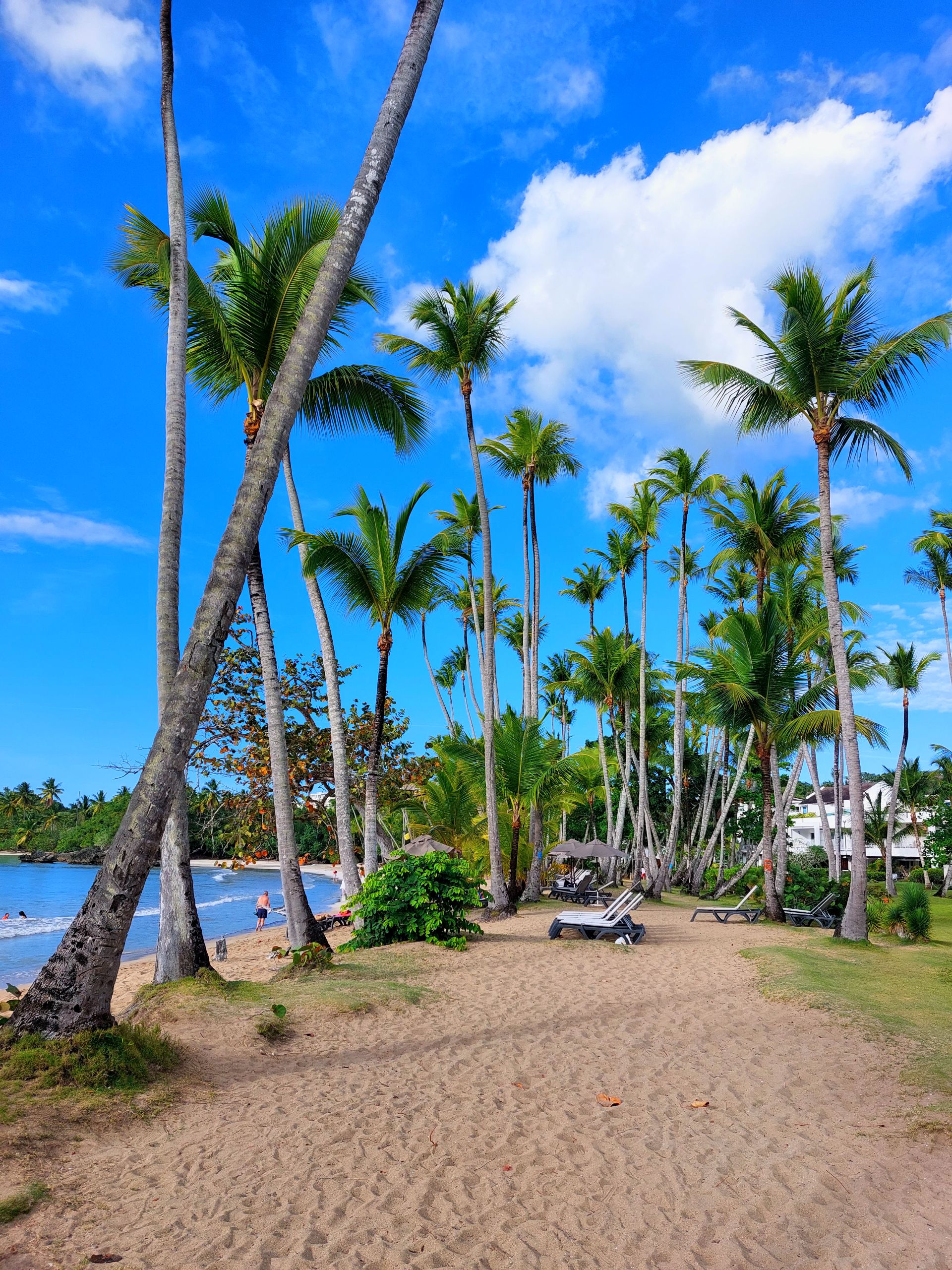 Playas del norte de Dominicana