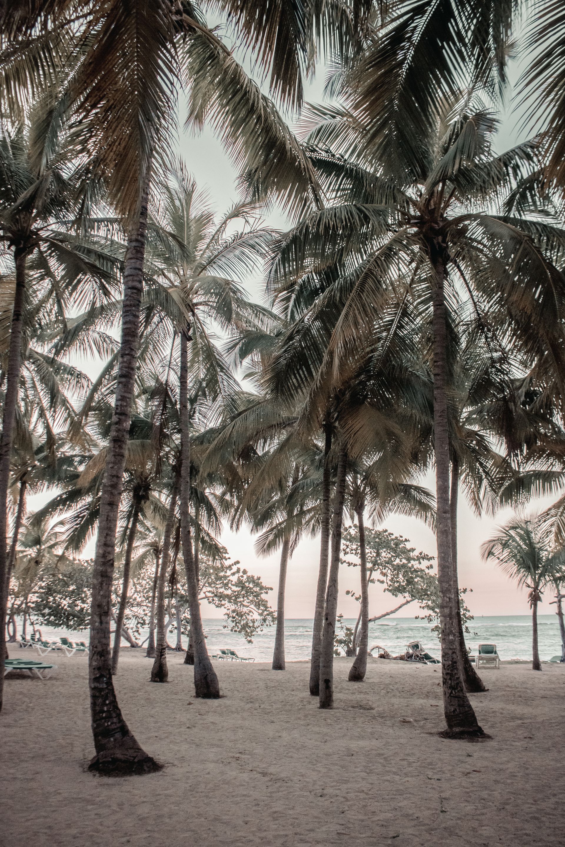 Playas del norte de Dominicana