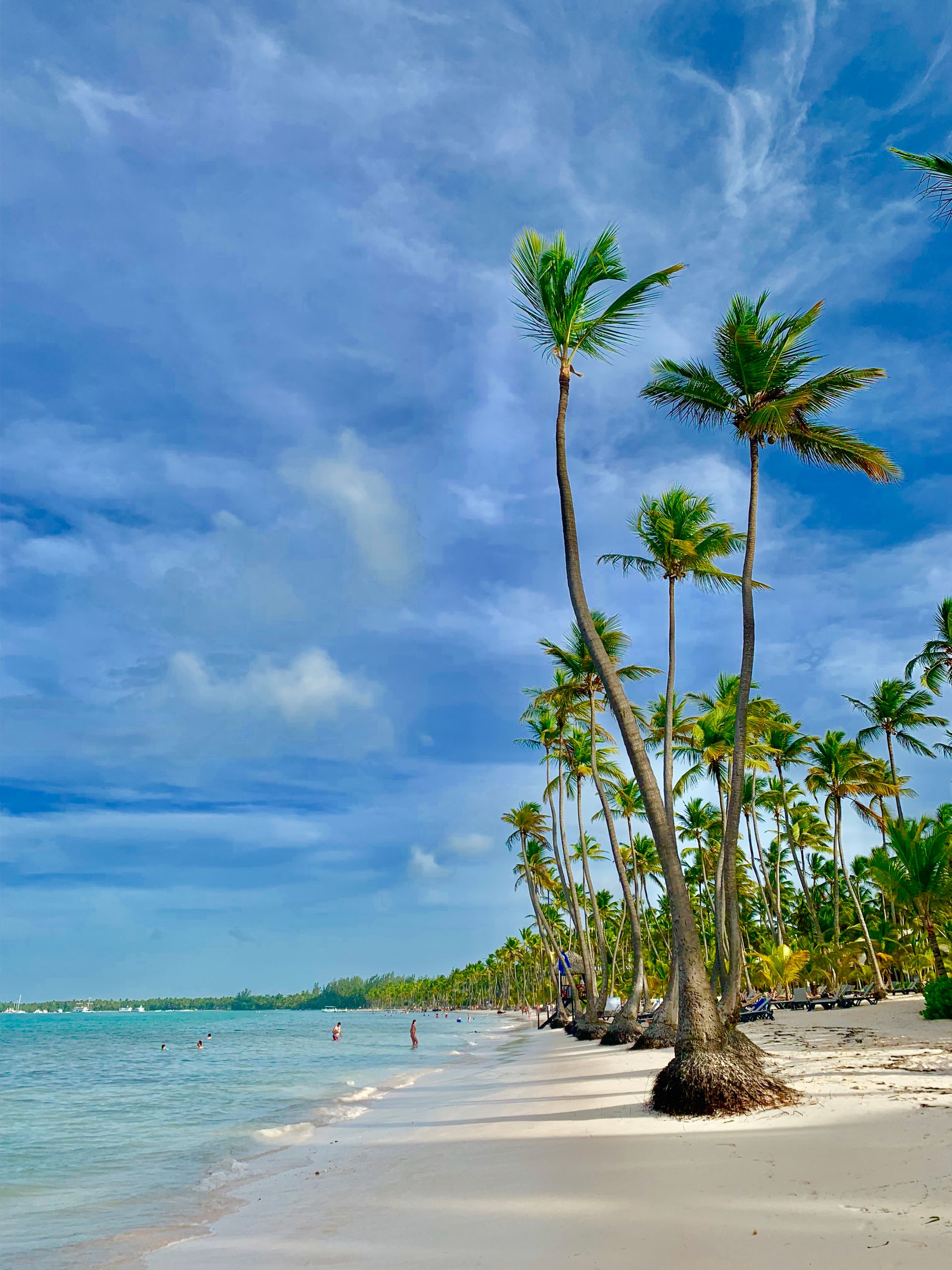 Nueva York & Punta Cana
